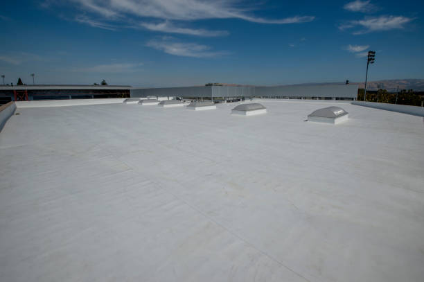 Best Sheet Metal Roofing  in Plain City, OH