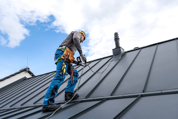 Best Solar Panel Roofing Installation  in Plain City, OH